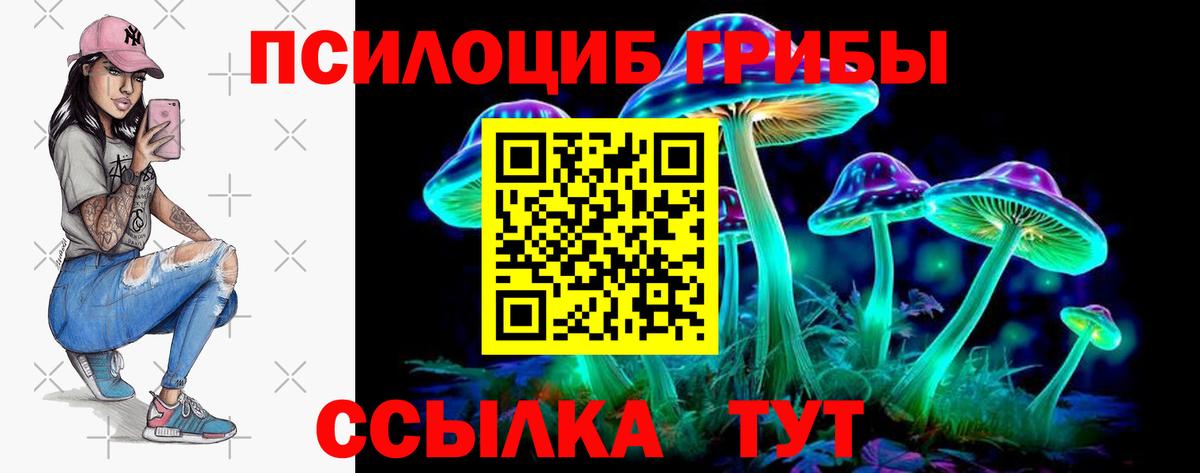Псилоцибиновые грибы Cubensis Ржев